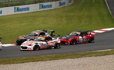 image_3